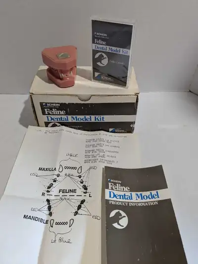 Henry Schein Dental Model Kit Cat Feline Educational Veterinary, View more