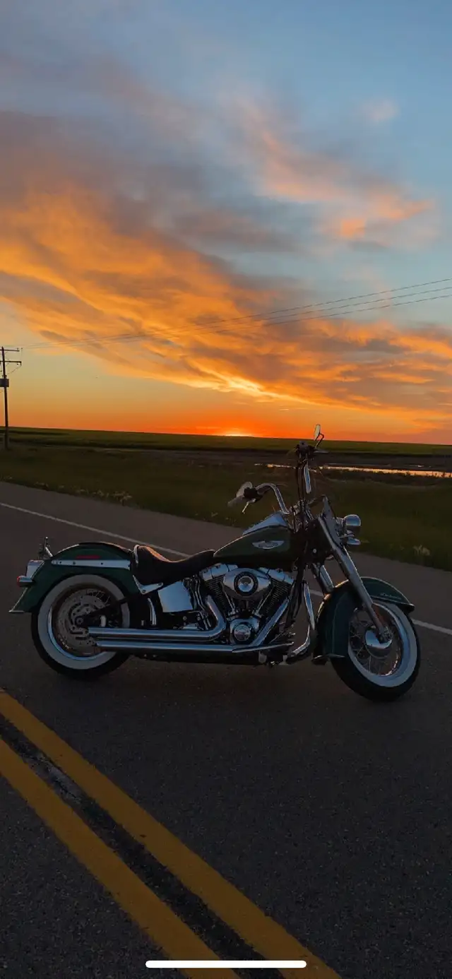 2013 soft tail deluxe low.km in Touring in Regina - Image 5