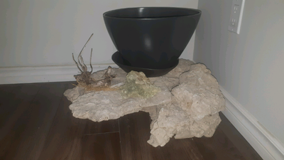 Ceramic flower pot , View more