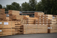 Assorted Lumber