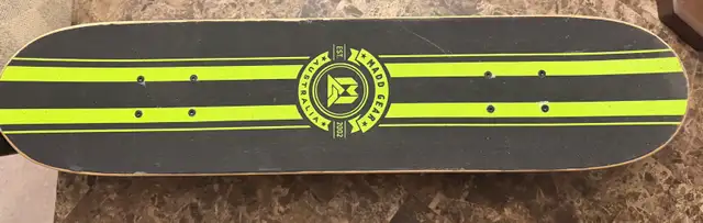 Skateboards498132645672407043