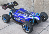 New RC Buggy / Car Brushless Electric TOP2 4WD  3S LIPO