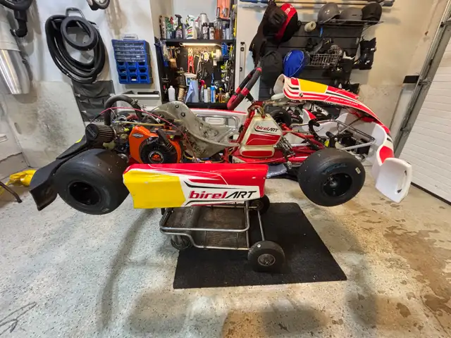 Birel ART AM29 S11 and 2 Briggs & Stratton Engines - Your in Other in City of Toronto - Image 5