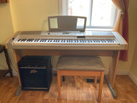 Yamaha portable grand DGX-500