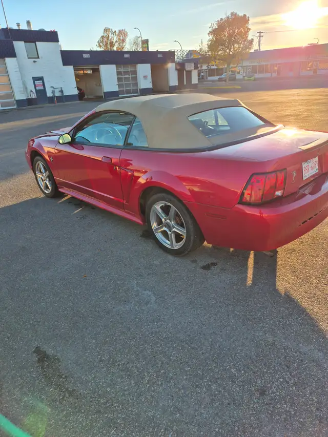 2000 mustang convertible in Cars & Trucks in Lethbridge - Image 6