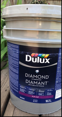 DELUX diamond exterior paint Flat/Mat