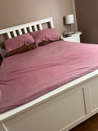 Double Bed frame w/ Older double mattress 