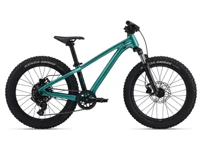 GIANT STP 20 Dirt Jump/Kids Trail/Mountain Bike/Vélo de montagne, View more
