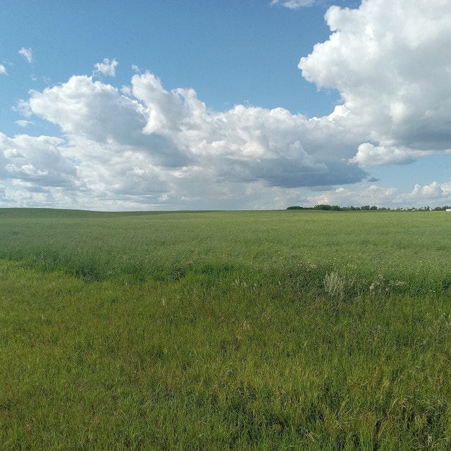 Dog poop clean up and disposal Other Edmonton Kijiji