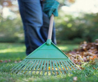 Spring Cleanups, Lawn Mowing & Lawn Maintenenace