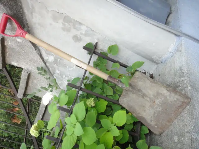Garden Shovel