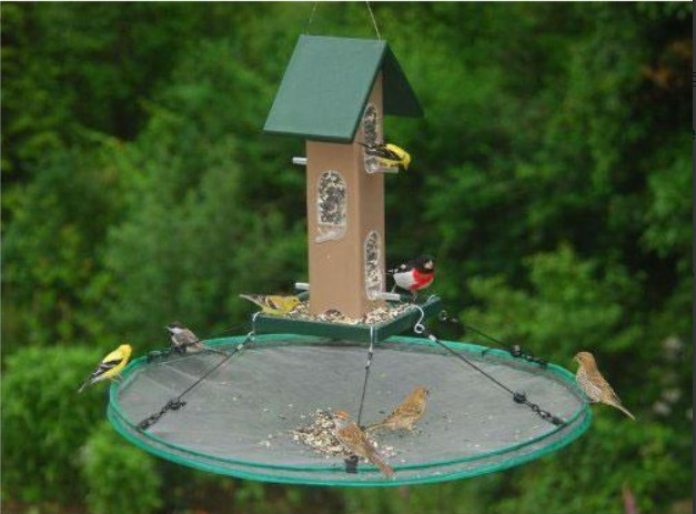 Bird Feeder Seed Collector Hoop Tray in Other in Kingston