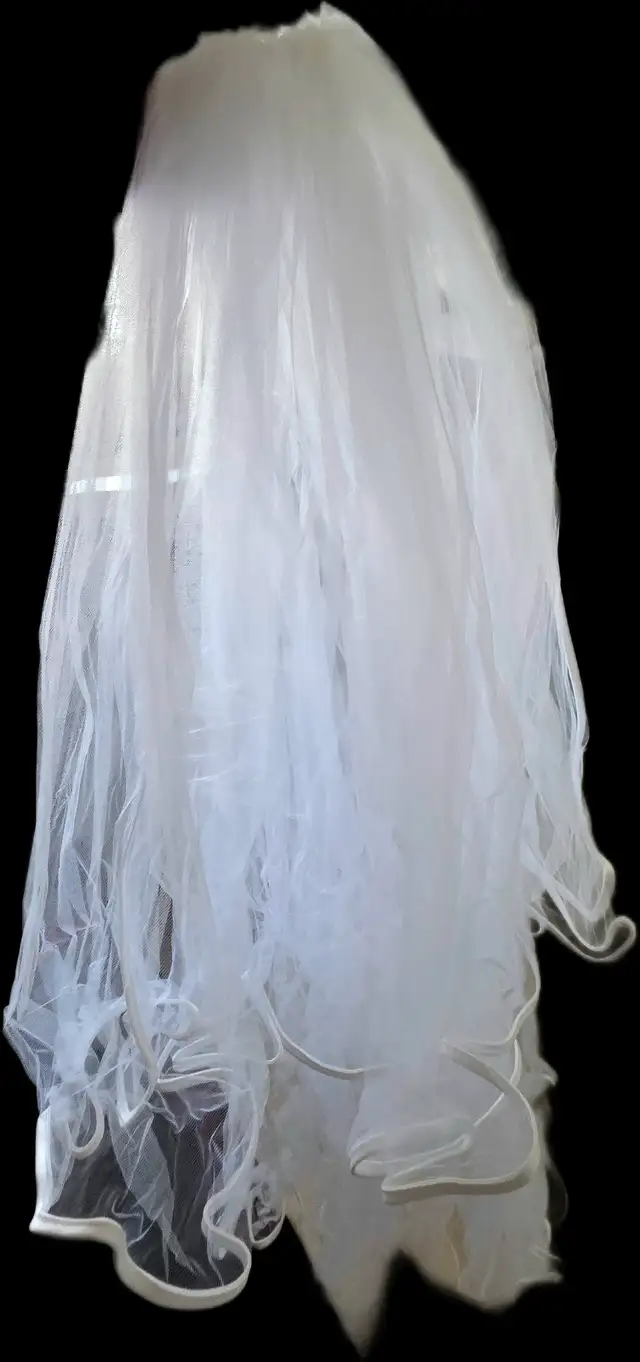 Bridal Chest Wedding Gown in Wedding in Saskatoon - Image 5