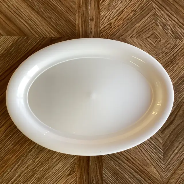 20½" Large Oval Plastic Serving Platter65565410546179121
