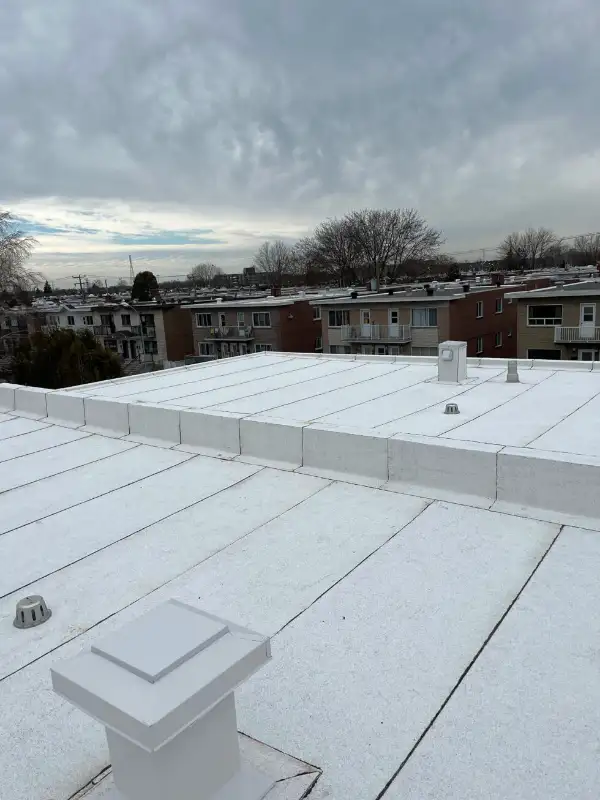 ROOF REPAIR WATER LEAK LEAK SEAL ROOF FLAT SHINGLE TILE62863220889601122