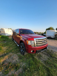 Ford F150 2010 