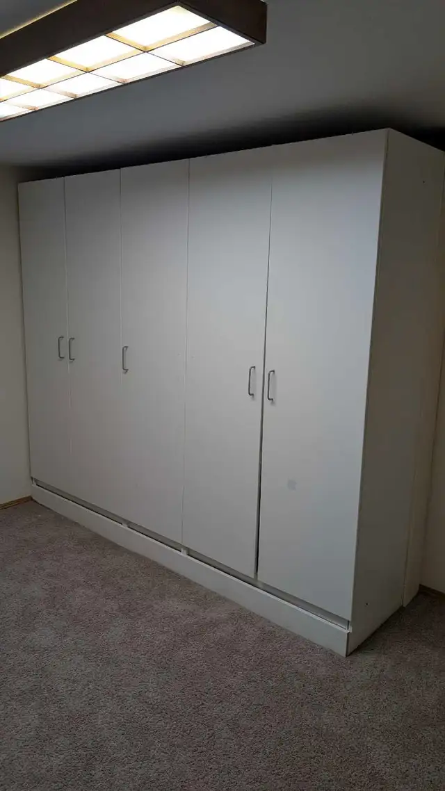 Looking for a roommate