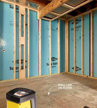 Handyman, Carpentry and home renovations