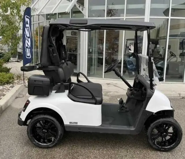 Golf Cart 2 seaters in Golf in Edmonton - Image 9