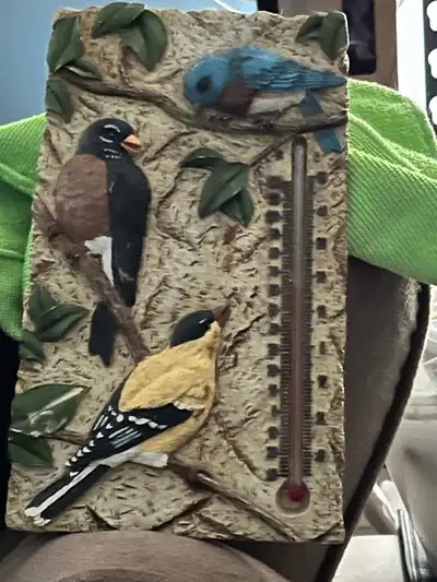 Thermometer, View more