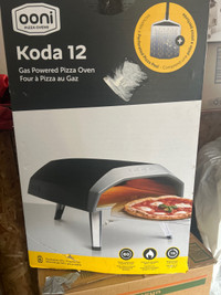 Pizza oven 