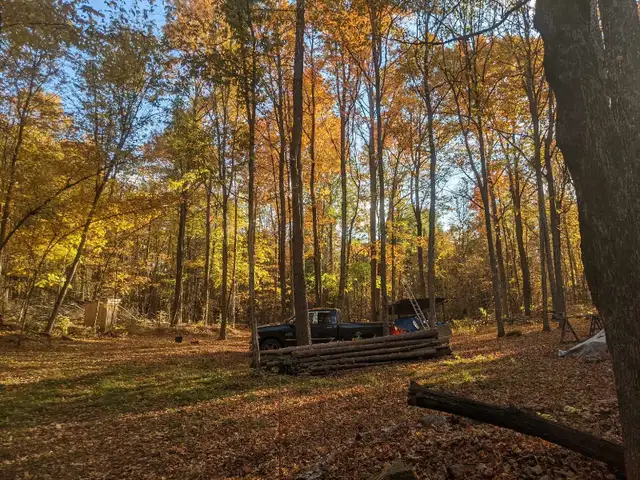 Rustic Off-Grid Yurt Retreat – Beta Stays Welcome! in Ontario in Canada - Image 3
