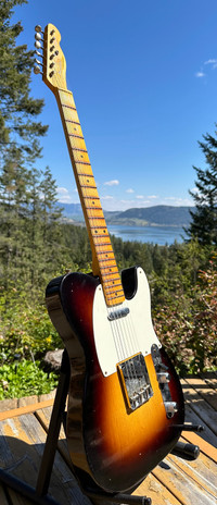 Fender Custom Shop 1955 Telecaster Journeyman - WideFade