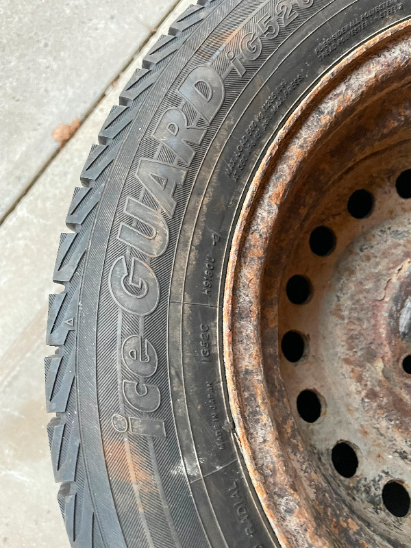 Winter tires on rims. in Tires & Rims in Kingston - Image 4