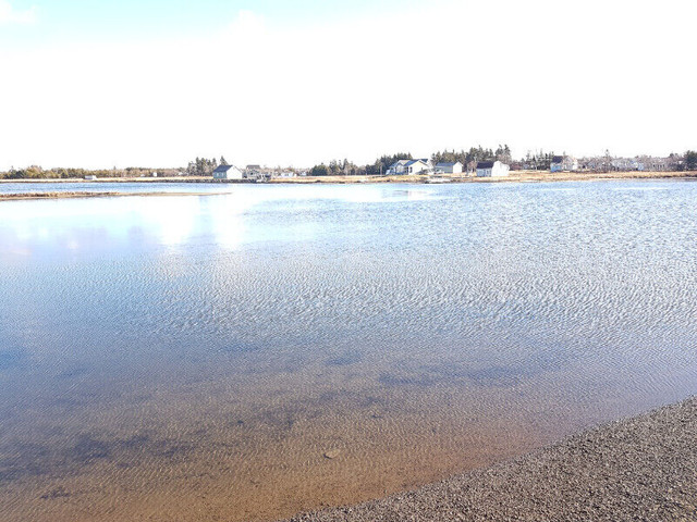 TERRAIN EN VENTE BORD DE L'EAU POINTE DES ROBICHAUD in Land for Sale in Bathurst - Image 3