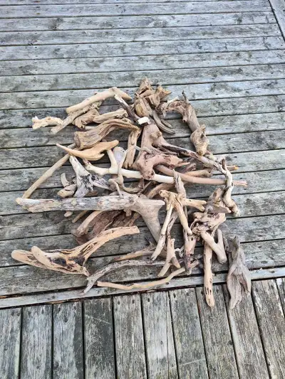 Driftwood , View more