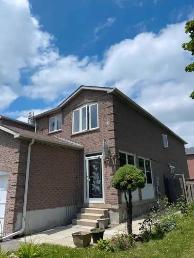 Basement for rent