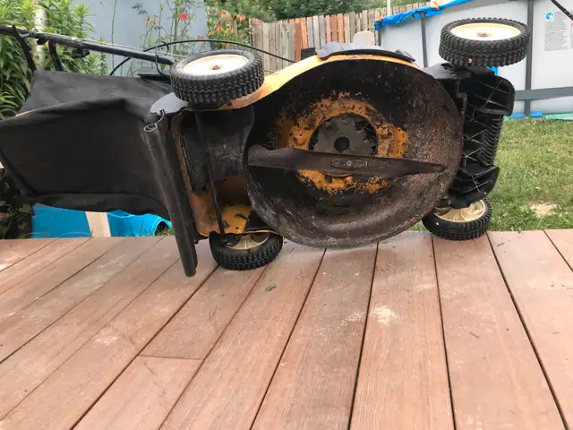 Cub cadet push mower63234989266691124