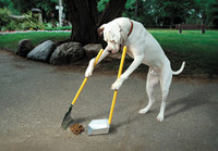 Dog waste clean up 