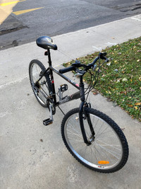 Bicyclette 25 po — 100$
