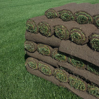 New Home, Lasting Value: Invest in Sod