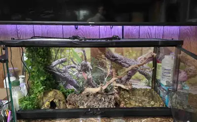 25 Gallon Zoo Med ReptiHabitat – Complete Reptile Tank Setup , View more