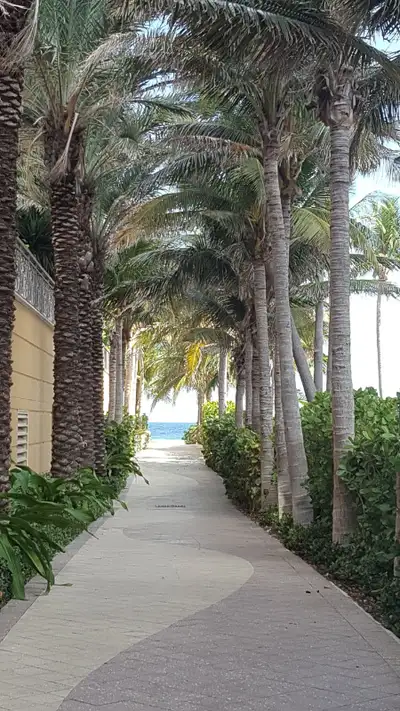 Condo à louer à Sunny Isles en Floride, View more