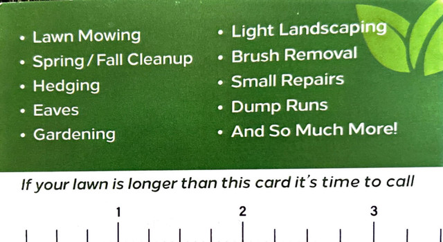 Spring clean up, lawn mowing, hedge trimming, any yard work in Snow Removal & Property Maintenance in Winnipeg - Image 2