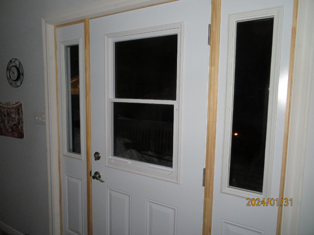 Door Windows in Windows, Doors & Trim in St. John's - Image 2