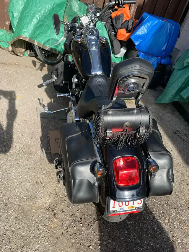 2000 Harley Davidson  in Street, Cruisers & Choppers in Calgary - Image 5