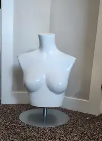 Mannequin Bust