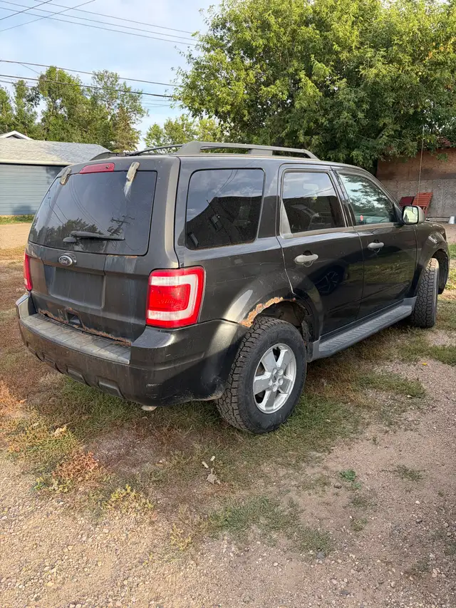 2011 Ford Escape 4 Cyl555661594796369922