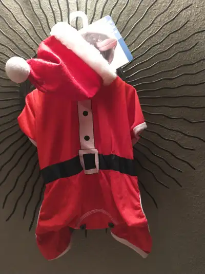 BN dog costume for Christmas ., View more