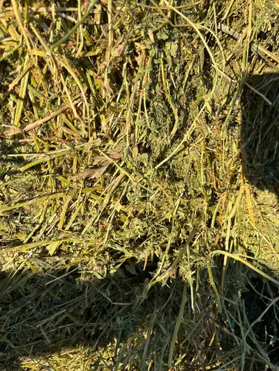 Hay for sale, View more