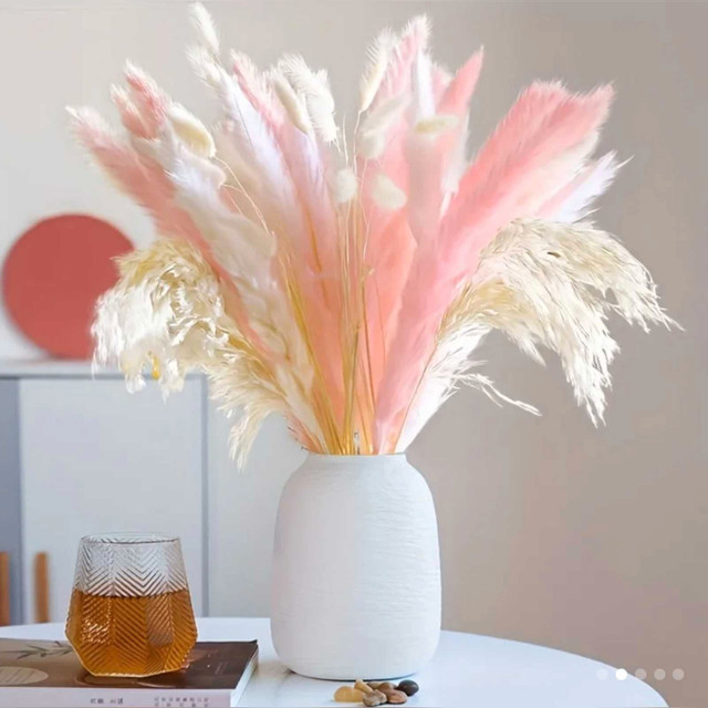 50 pieces pampas natural dried pampas grass  in Home Décor & Accents in City of Toronto - Image 3