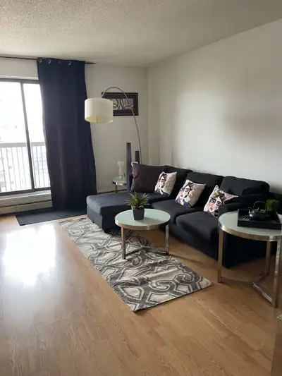 Furnished Condo in Hallmark Building   Move in Today.