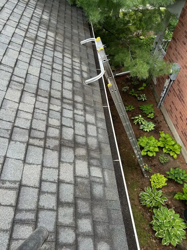 Professional Gutter & Window Cleaning Services492697908046080003