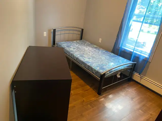 Rooms For Rent - Students & Working Professionals in Room Rentals & Roommates in Cape Breton - Image 5