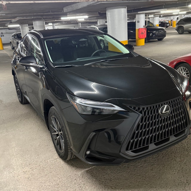 Brilliant Lexus 2023 NX 250 AWD — photo 5