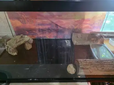 Bearded Dragon Tank, View more